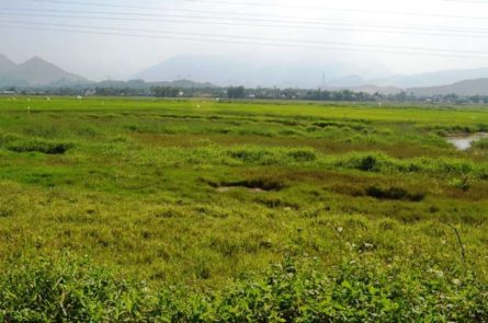 Mua chung lô đât sổ đỏ ai đứng tên