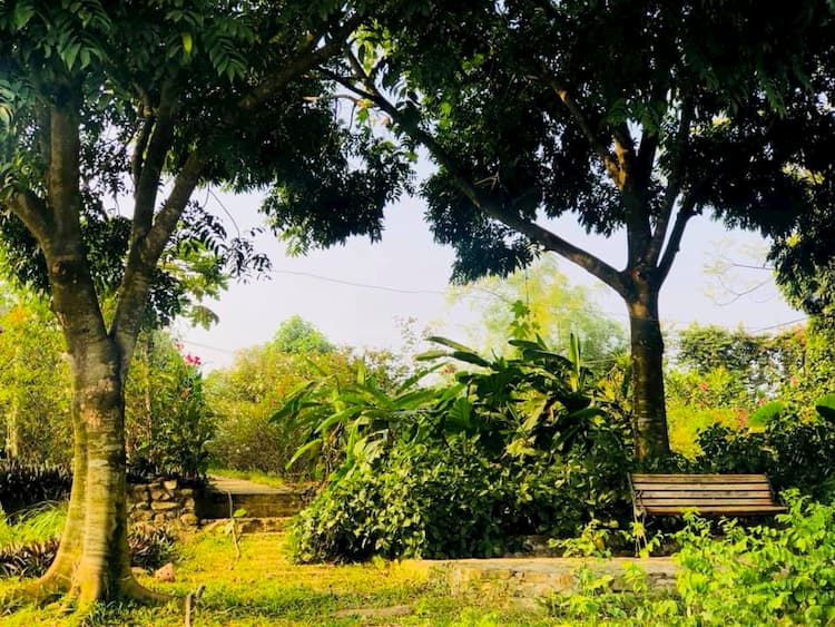 Mua đất xây nhà vườn