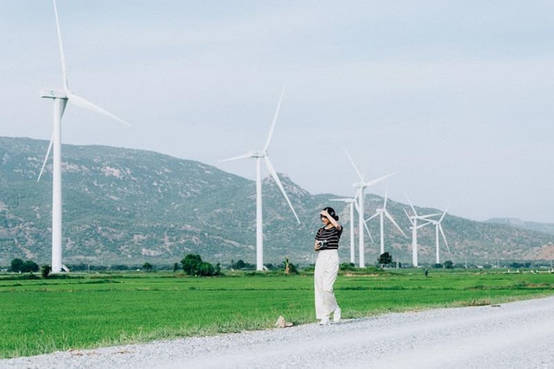 Cánh đồng quạt gió Đầm Nại