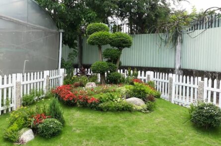 cảnh quan sân vườn