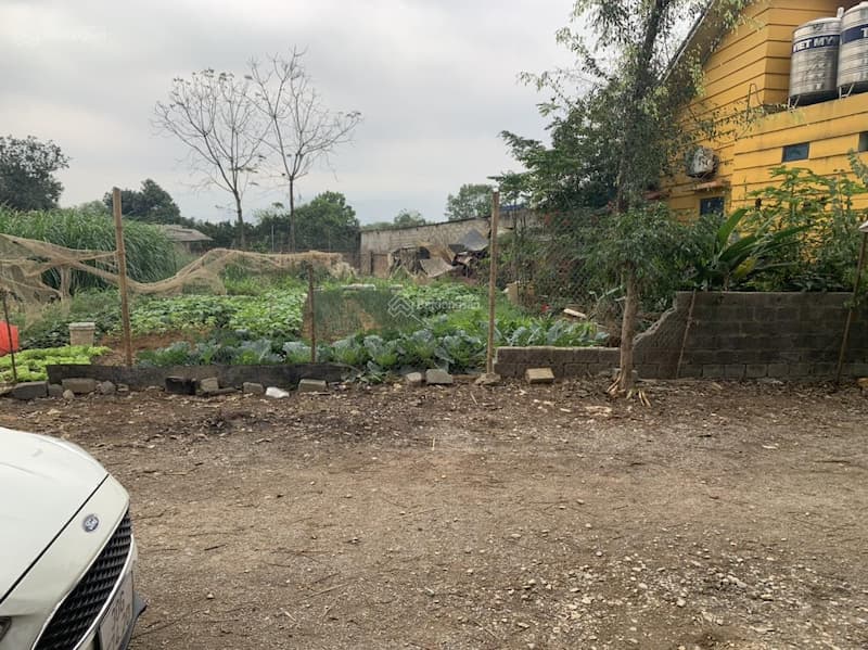 Rủi ro thường gặp khi mua đất không phải ai cũng biết