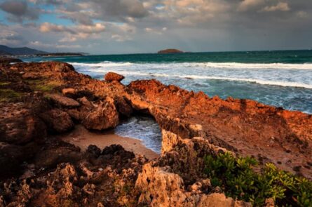 Mê hoặc san hô Hòn Đỏ tỉnh Ninh Thuận