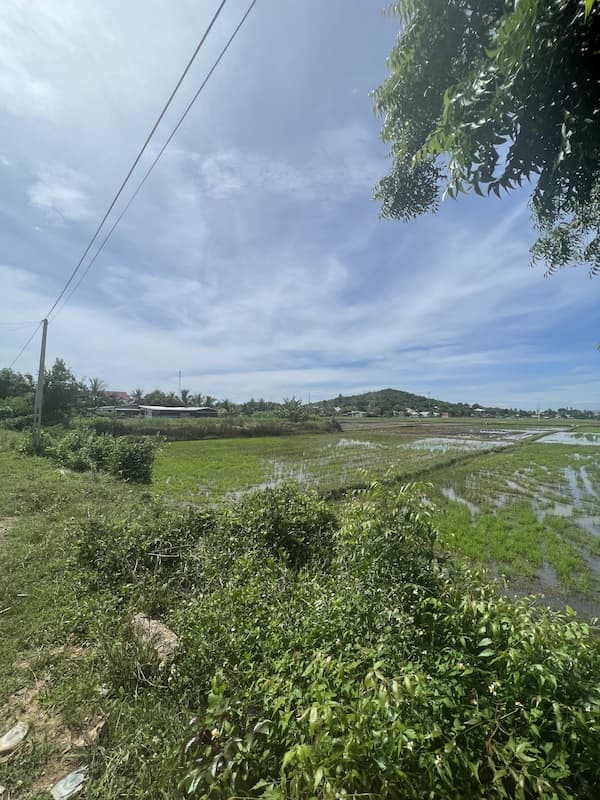 Bán gấp 1 sào 2 đất LUC phường Đô Vinh gần sân bay Thành Sơn