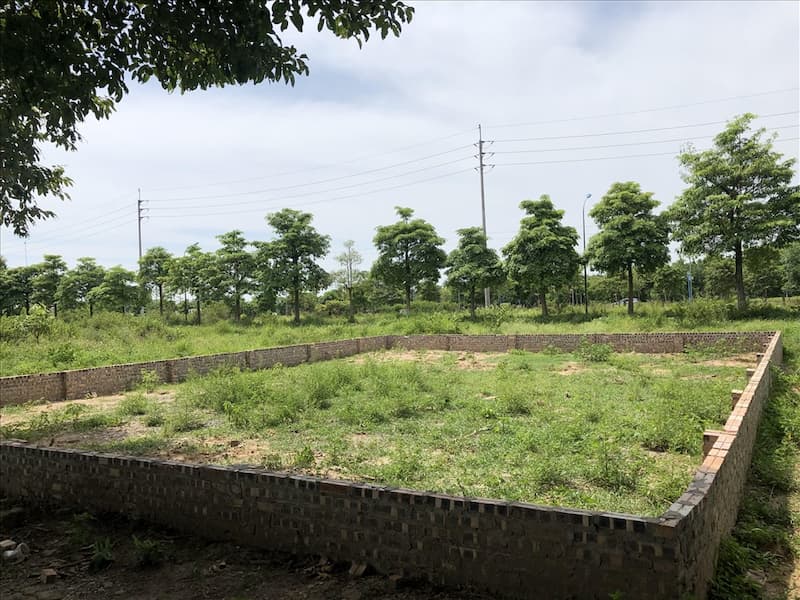 Nhà Đầu Tư Tìm Hướng Đi Mới Khi Thị Trường Gặp Khó